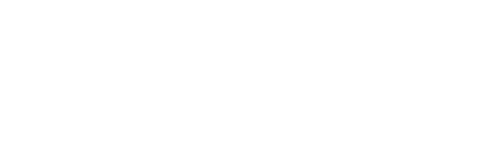 Castillo Consulting